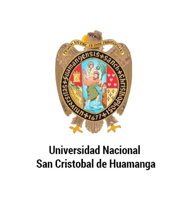 logo Universidad Nacional San Cristobal de Huamanga